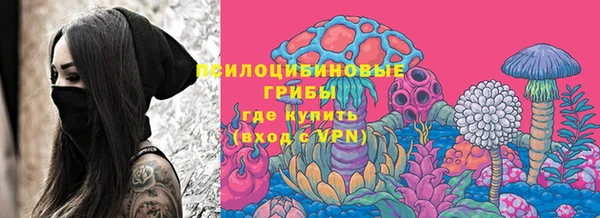 индика Баксан